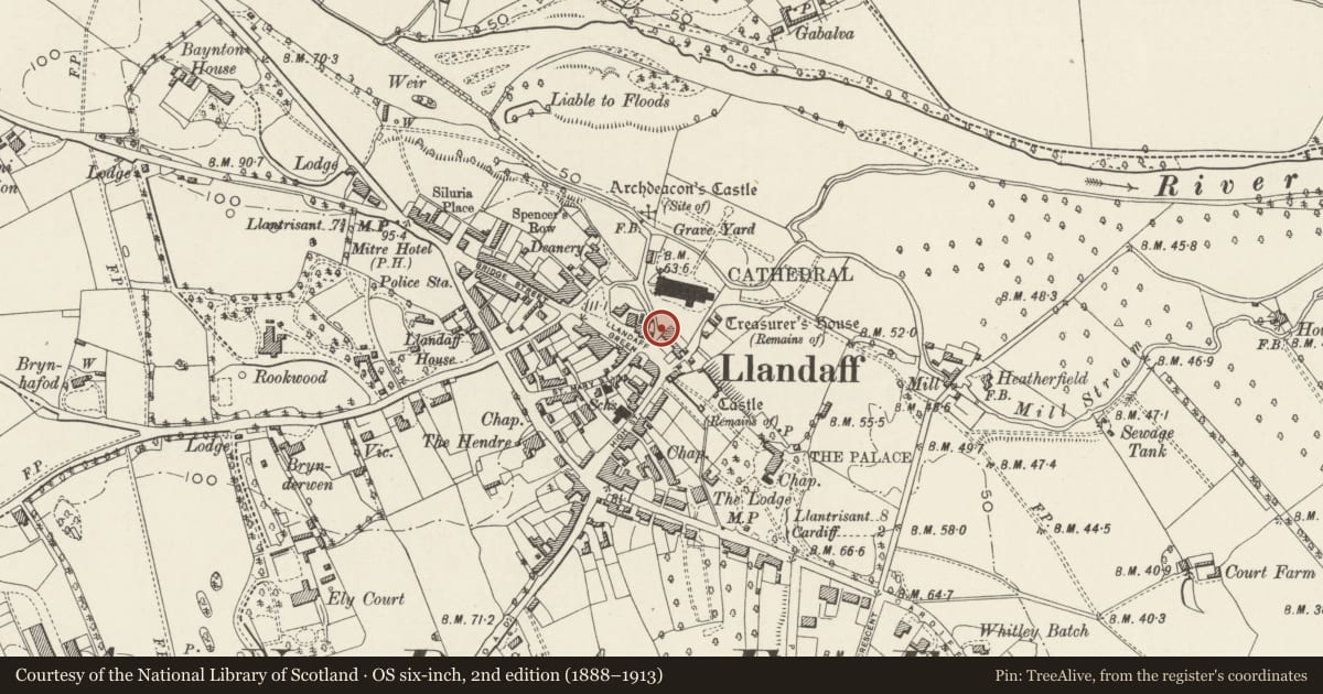 Ordnance Survey six-inch map, 2nd edition (1888–1913) covering the location of Lychgate and attached wall descending to the Cathedral, Llandaff, Cardiff, with a pin at the register's coordinates