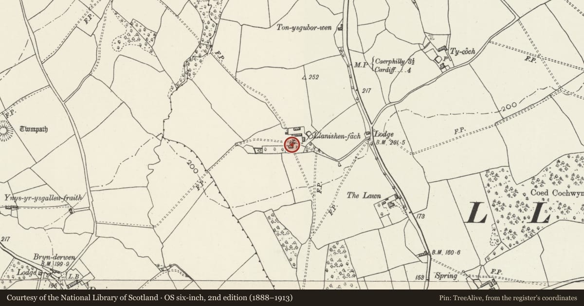 Ordnance Survey six-inch map, 2nd edition (1888–1913) covering the location of Llanishen Fach, Rhiwbina, Cardiff, with a pin at the register's coordinates