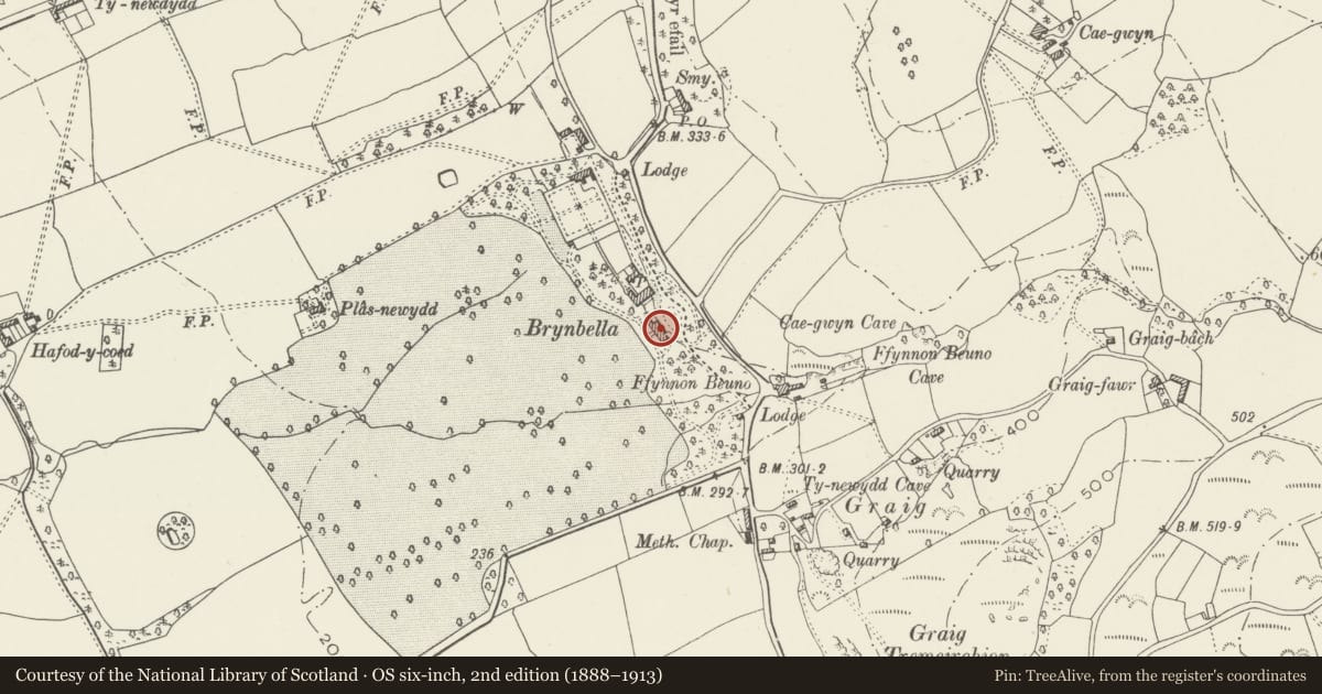 Ordnance Survey six-inch map, 2nd edition (1888–1913) covering the location of Brynbella, Tremeirchion, Denbighshire, with a pin at the register's coordinates