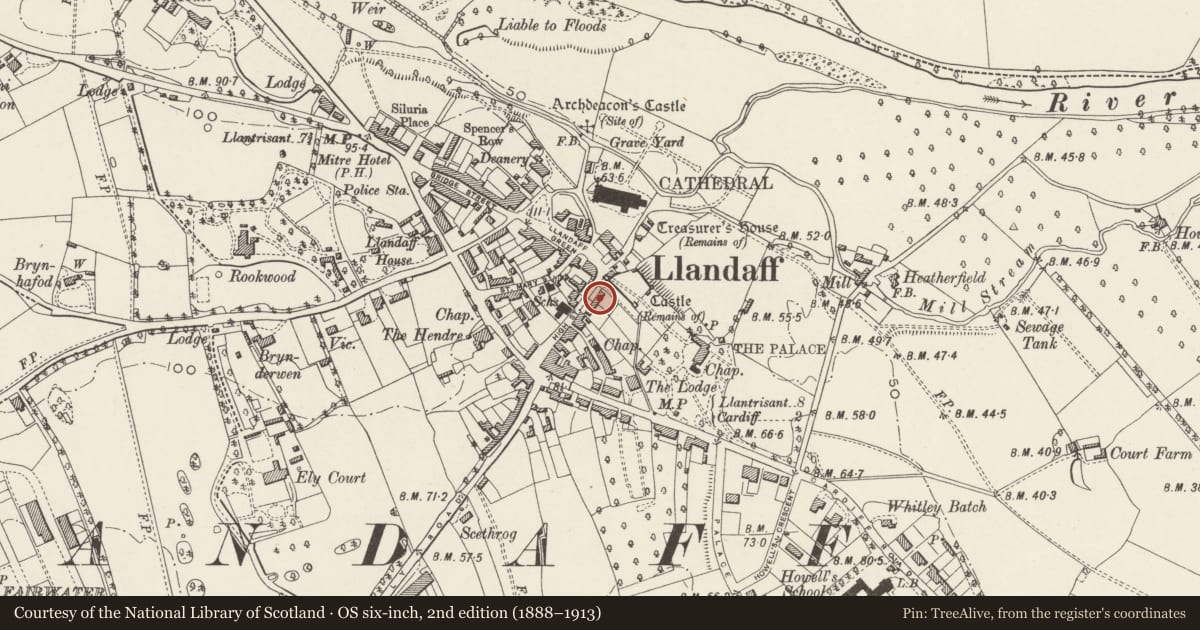 Ordnance Survey six-inch map, 2nd edition (1888–1913) covering the location of St. Andrew, Llandaff, Cardiff, with a pin at the register's coordinates