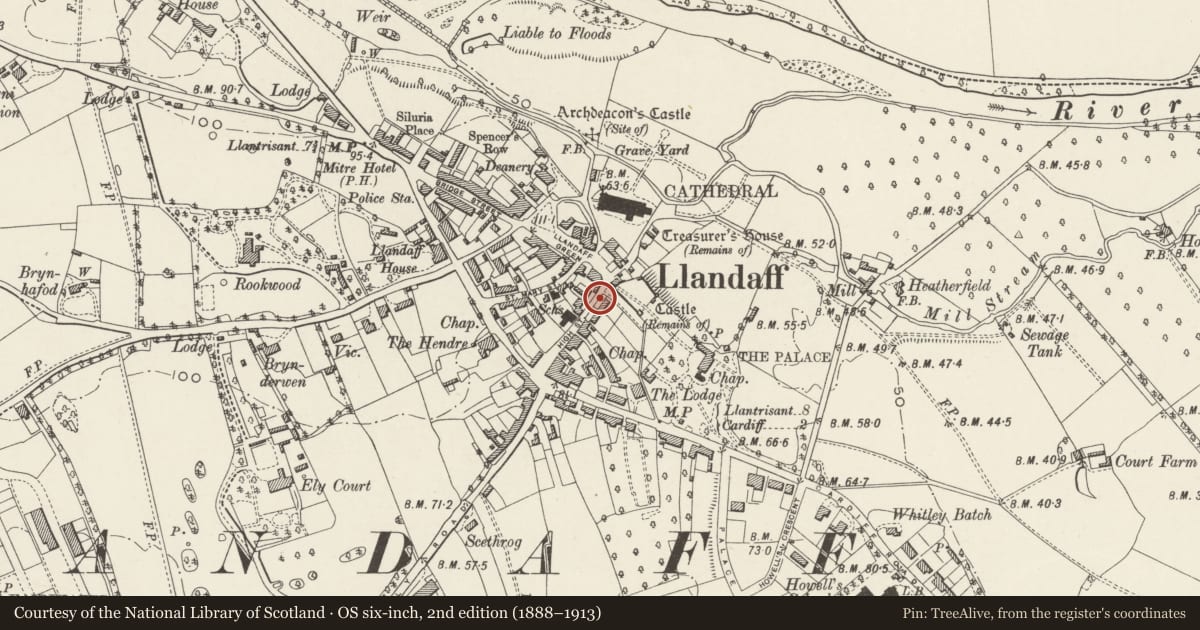 Ordnance Survey six-inch map, 2nd edition (1888–1913) covering the location of Garden Wall of St. Andrew, Llandaff, Cardiff, with a pin at the register's coordinates