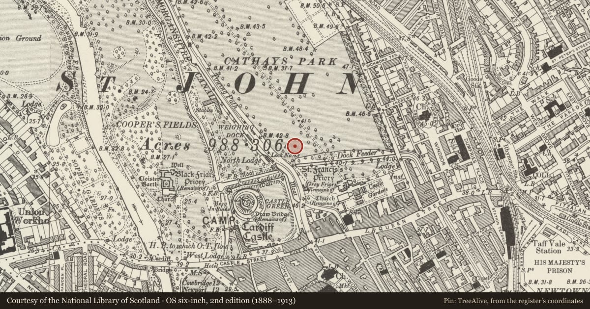 Ordnance Survey six-inch map, 2nd edition (1888–1913) covering the location of Statue of Judge Gwilym Williams of Miskin, Castle, Cardiff, with a pin at the register's coordinates