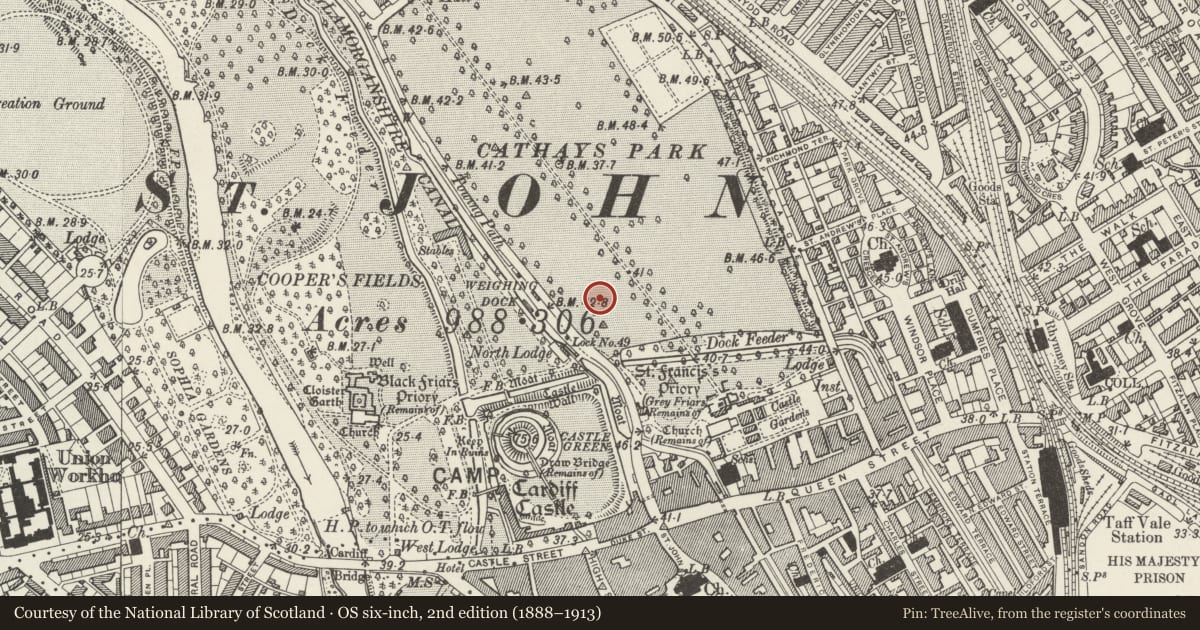 Ordnance Survey six-inch map, 2nd edition (1888–1913) covering the location of Law Courts, Castle, Cardiff, with a pin at the register's coordinates