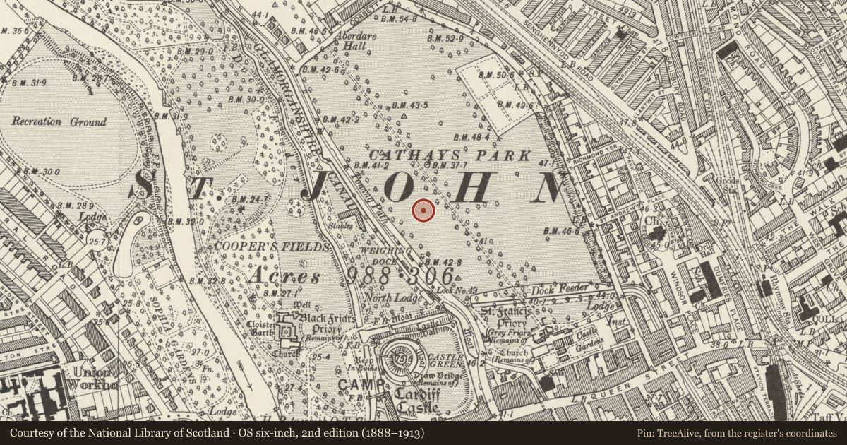 Ordnance Survey six-inch map, 2nd edition (1888–1913) covering the location of University Of Wales Registry, including forecourt walls and Dragon posts, Castle, Cardiff, with a pin at the register's coordinates