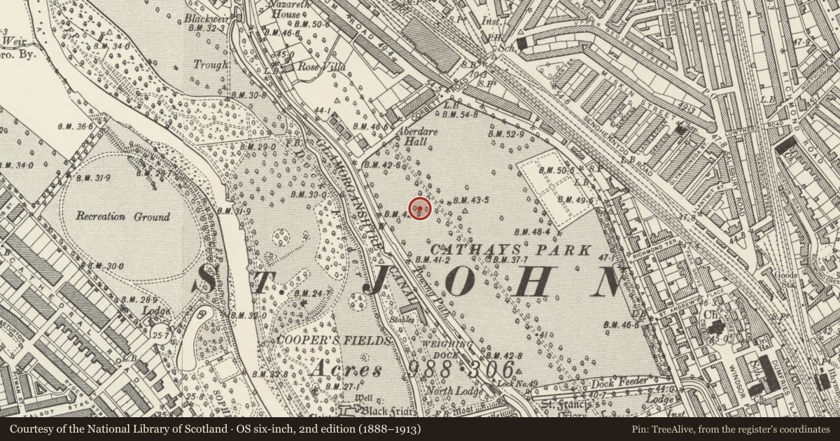 Ordnance Survey six-inch map, 2nd edition (1888–1913) covering the location of Temple of Peace & Health, Castle, Cardiff, with a pin at the register's coordinates