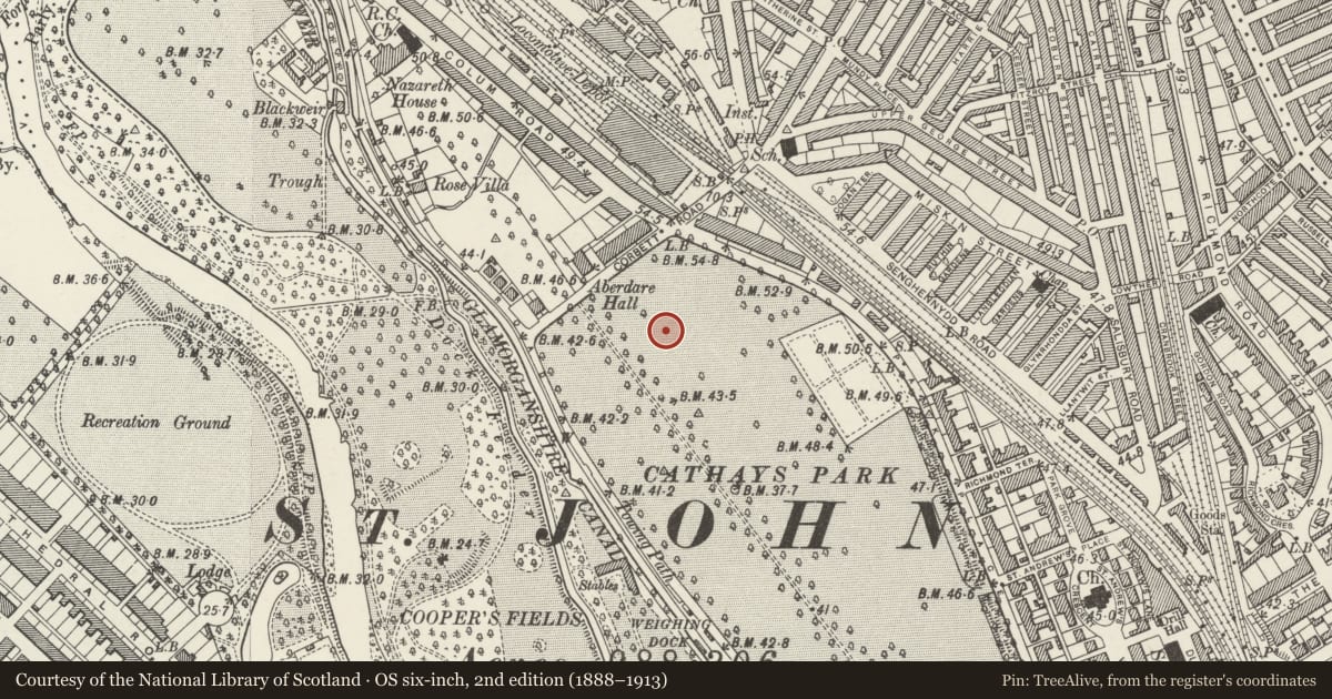 Ordnance Survey six-inch map, 2nd edition (1888–1913) covering the location of Cathays Park Welsh Government Offices (Crown Buildings), Castle, Cardiff, with a pin at the register's coordinates
