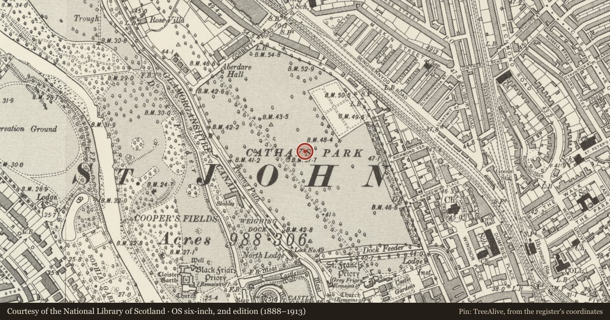 Ordnance Survey six-inch map, 2nd edition (1888–1913) covering the location of Welsh National War Memorial, Castle, Cardiff, with a pin at the register's coordinates