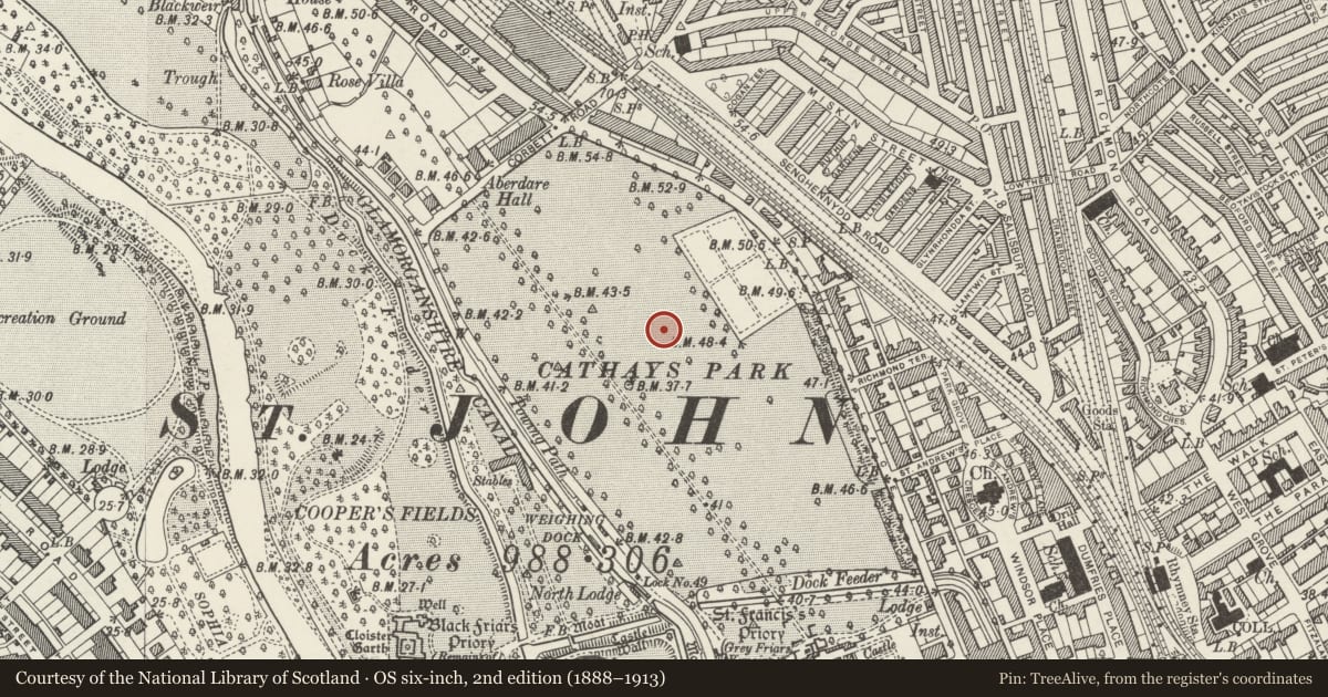 Ordnance Survey six-inch map, 2nd edition (1888–1913) covering the location of Statue of Lord Aberdare, Castle, Cardiff, with a pin at the register's coordinates