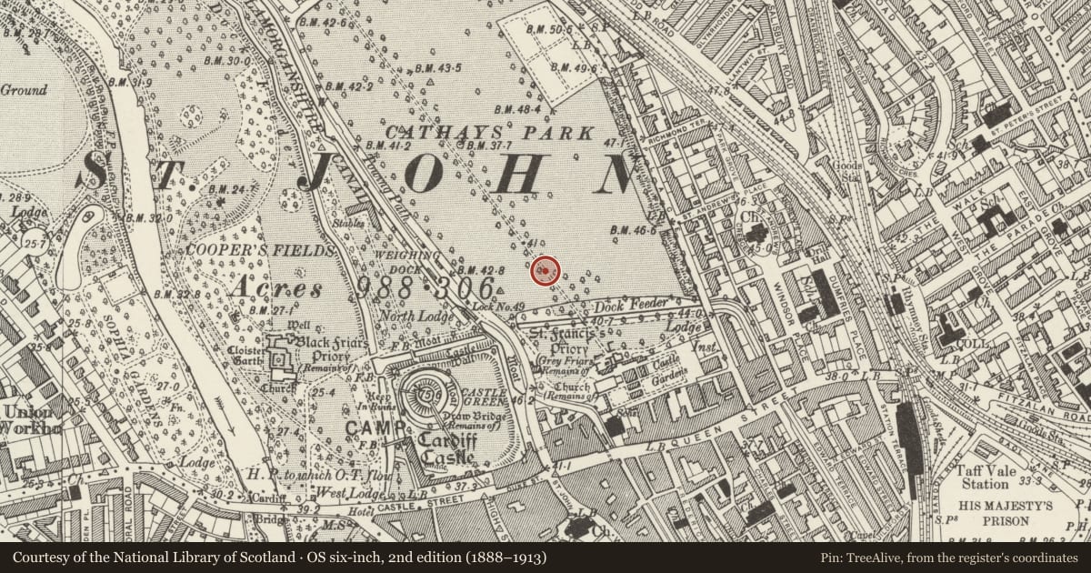Ordnance Survey six-inch map, 2nd edition (1888–1913) covering the location of South African War Memorial, Castle, Cardiff, with a pin at the register's coordinates