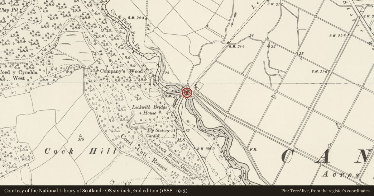 Ordnance Survey six-inch map, 2nd edition (1888–1913) covering the location of Old Leckwith Bridge (partly in the Michaelston community), Canton, Cardiff, with a pin at the register's coordinates