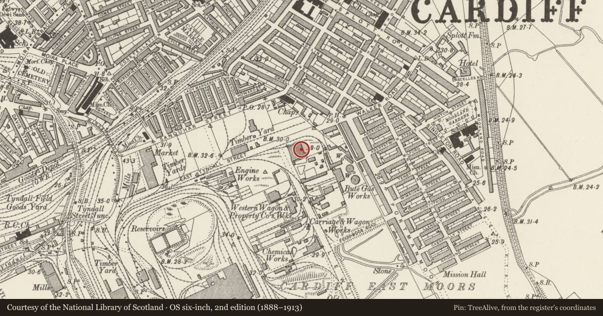 Ordnance Survey six-inch map, 2nd edition (1888–1913) covering the location of The Maltings, Splott, Cardiff, with a pin at the register's coordinates