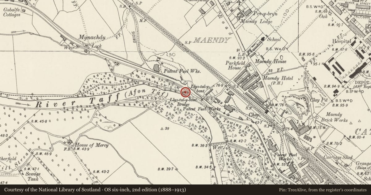 Ordnance Survey six-inch map, 2nd edition (1888–1913) covering the location of Park Lodge, Gabalfa, Cardiff, with a pin at the register's coordinates