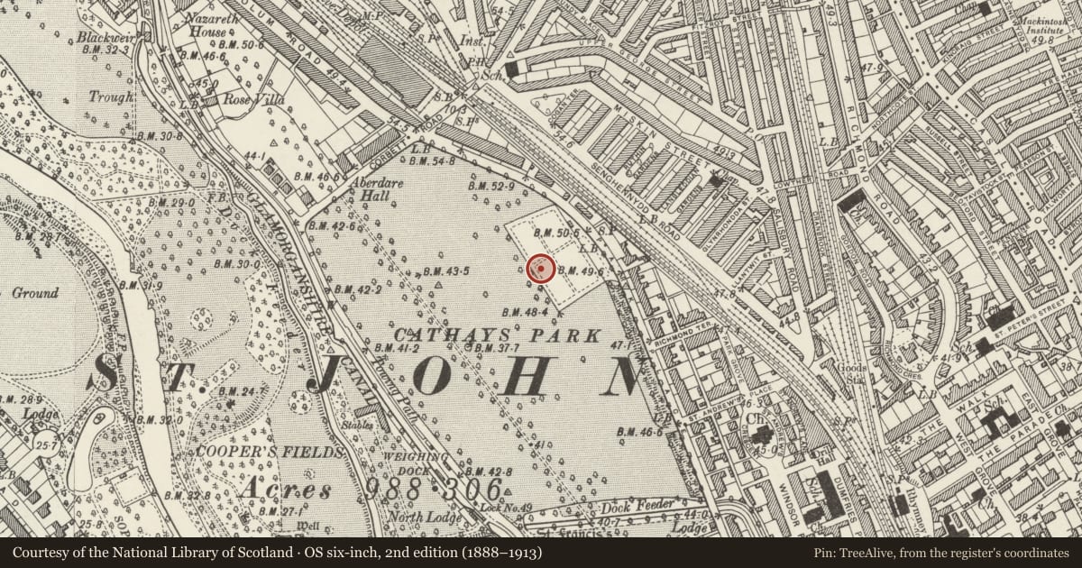 Ordnance Survey six-inch map, 2nd edition (1888–1913) covering the location of University of Wales, Cardiff, including Forecourt Walls, Castle, Cardiff, with a pin at the register's coordinates