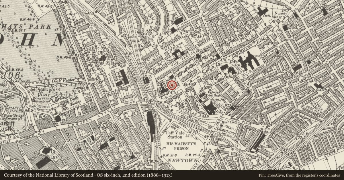 Ordnance Survey six-inch map, 2nd edition (1888–1913) covering the location of South Building, The Queen's Buildings, Cardiff University, Roath, Cardiff, with a pin at the register's coordinates