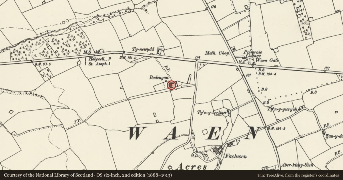 Ordnance Survey six-inch map, 2nd edition (1888–1913) covering the location of Bodeugan Farmhouse, Waen, Denbighshire, with a pin at the register's coordinates