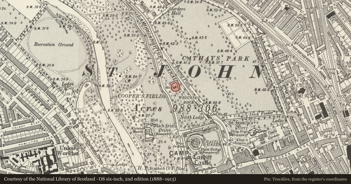 Ordnance Survey six-inch map, 2nd edition (1888–1913) covering the location of Stables to Cardiff Castle in Bute Park, Cardiff, with a pin at the register's coordinates