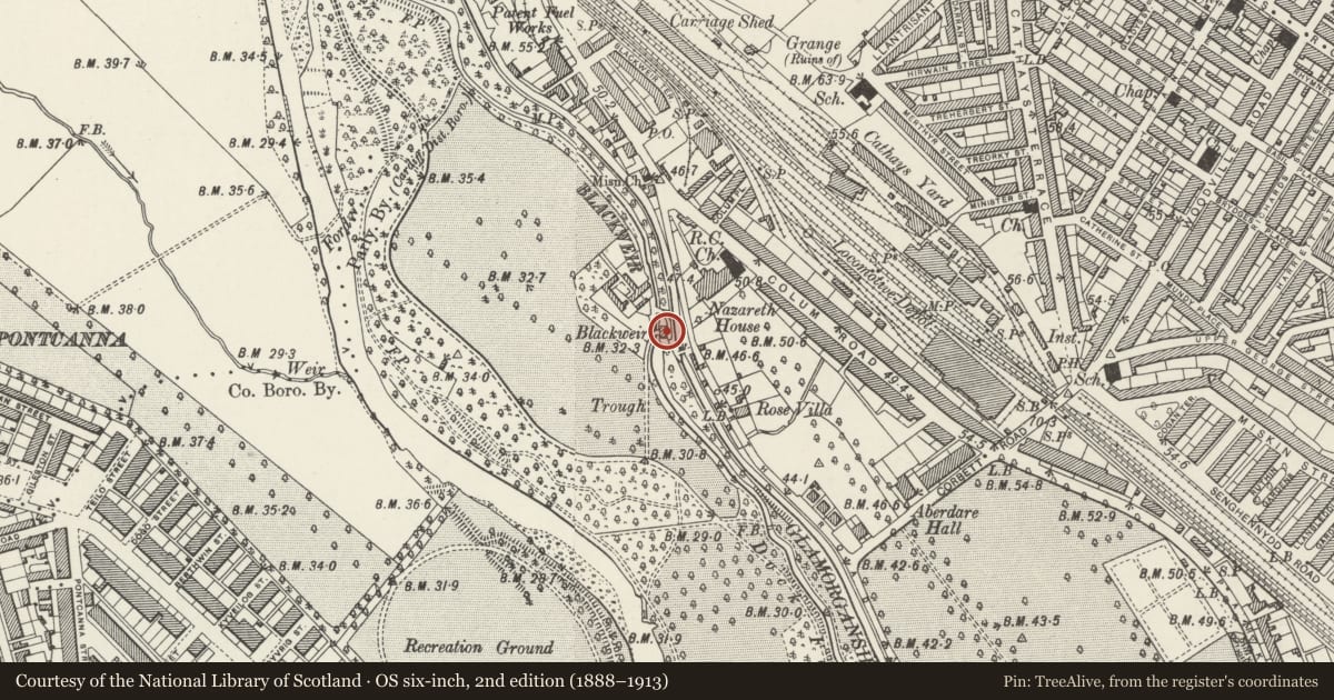 Ordnance Survey six-inch map, 2nd edition (1888–1913) covering the location of Blackweir Farmhouse, Castle, Cardiff, with a pin at the register's coordinates