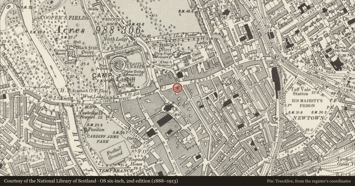 Ordnance Survey six-inch map, 2nd edition (1888–1913) covering the location of Nos.24 & 26 Queen Street Chambers, Castle, Cardiff, with a pin at the register's coordinates