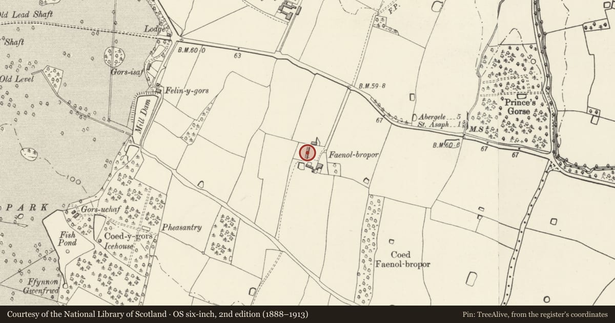 Ordnance Survey six-inch map, 2nd edition (1888–1913) covering the location of Barn to NW of Faenol-broper Farmhouse, Bodelwyddan, Denbighshire, with a pin at the register's coordinates