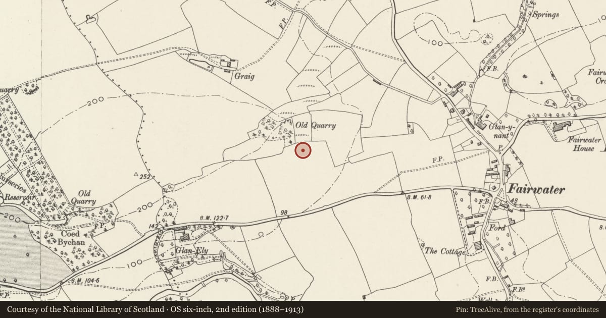 Ordnance Survey six-inch map, 2nd edition (1888–1913) covering the location of The Quarry House P H, Fairwater, Cardiff, with a pin at the register's coordinates