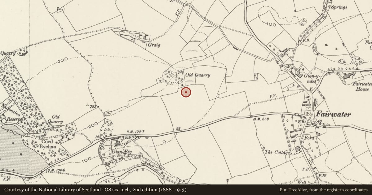 Ordnance Survey six-inch map, 2nd edition (1888–1913) covering the location of Outbuilding to rear at south-west end of The Quarry House P H, Fairwater, Cardiff, with a pin at the register's coordinates