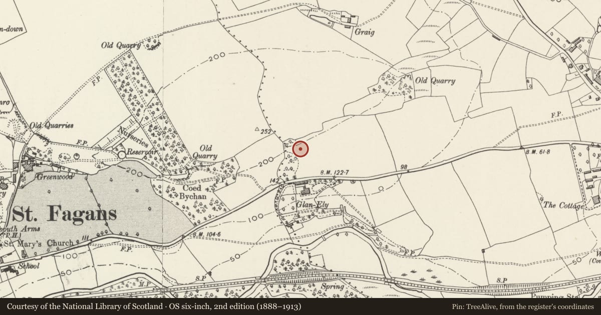Ordnance Survey six-inch map, 2nd edition (1888–1913) covering the location of Ty Bronna, Fairwater, Cardiff, with a pin at the register's coordinates
