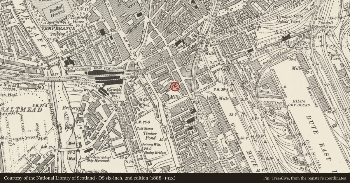 Ordnance Survey six-inch map, 2nd edition (1888–1913) covering the location of Statue of Second Marquess of Bute, Butetown, Cardiff, with a pin at the register's coordinates