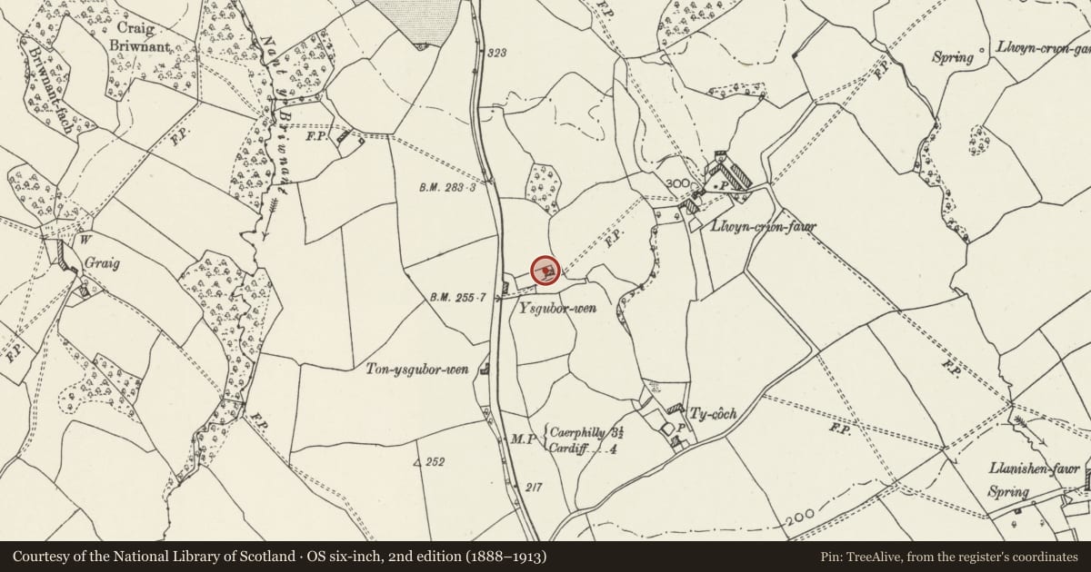 Ordnance Survey six-inch map, 2nd edition (1888–1913) covering the location of Fynnon Wen Public House, Thornhill, Cardiff, with a pin at the register's coordinates