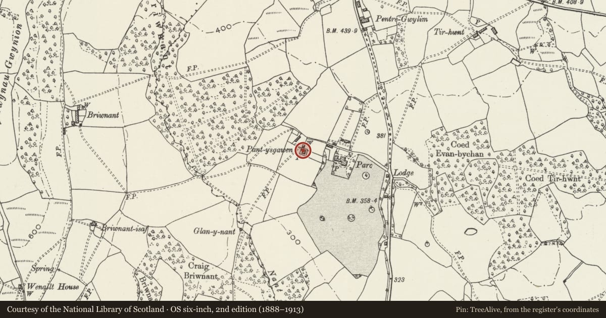 Ordnance Survey six-inch map, 2nd edition (1888–1913) covering the location of Pantysgawen, Rhiwbina, Cardiff, with a pin at the register's coordinates