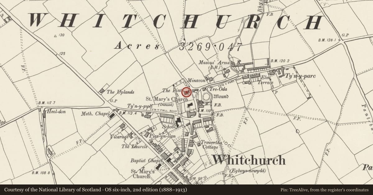 Ordnance Survey six-inch map, 2nd edition (1888–1913) covering the location of The Pines, Whitchurch, Cardiff, with a pin at the register's coordinates