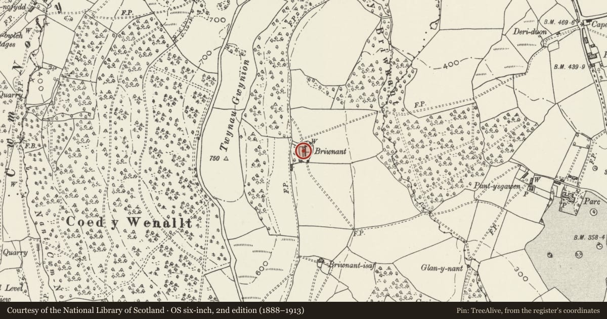 Ordnance Survey six-inch map, 2nd edition (1888–1913) covering the location of Briwnant Farmhouse and adjoining farm range, Rhiwbina, Cardiff, with a pin at the register's coordinates