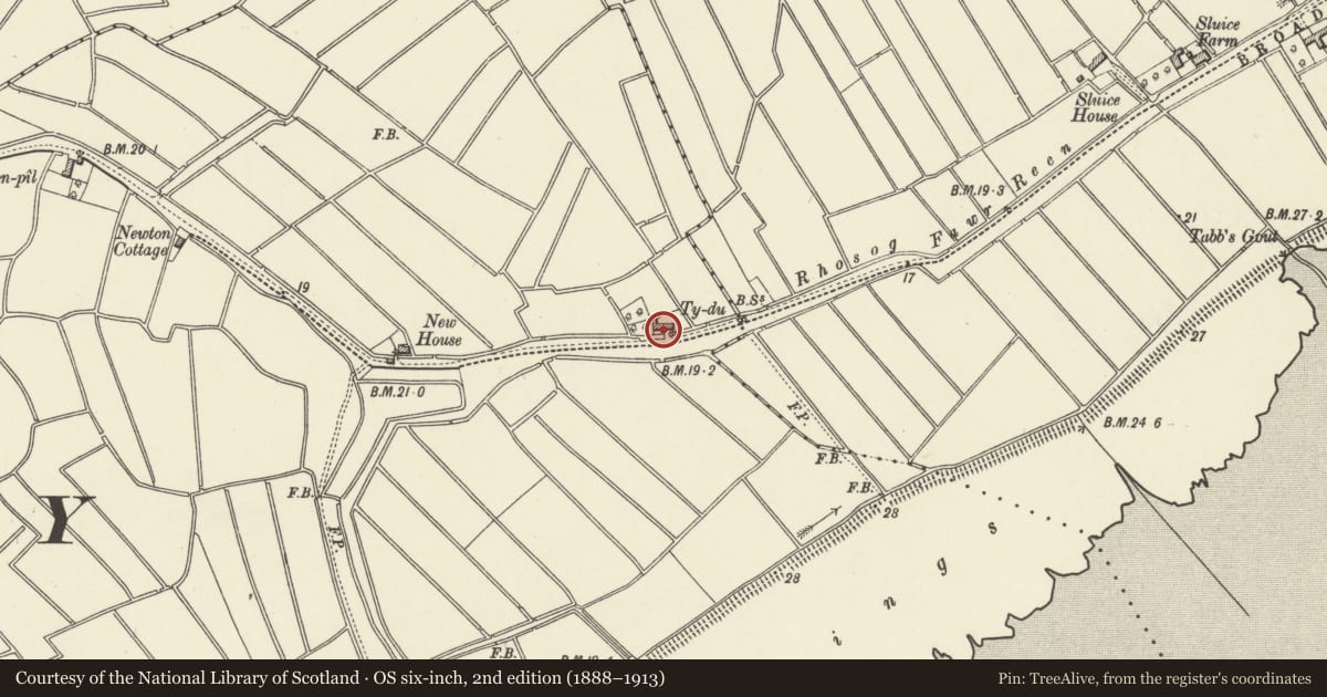 Ordnance Survey six-inch map, 2nd edition (1888–1913) covering the location of Ty-du and adjoining byre and stable, Trowbridge, Cardiff, with a pin at the register's coordinates