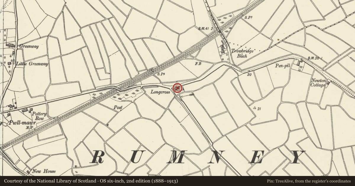 Ordnance Survey six-inch map, 2nd edition (1888–1913) covering the location of Longcross Farm, Trowbridge, Cardiff, with a pin at the register's coordinates