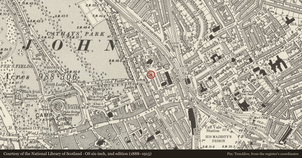 Ordnance Survey six-inch map, 2nd edition (1888–1913) covering the location of Nos 11-24 (Consecutive), Castle, Cardiff, with a pin at the register's coordinates