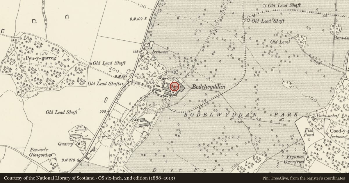 Ordnance Survey six-inch map, 2nd edition (1888–1913) covering the location of Bodelwyddan Castle, Denbighshire, with a pin at the register's coordinates
