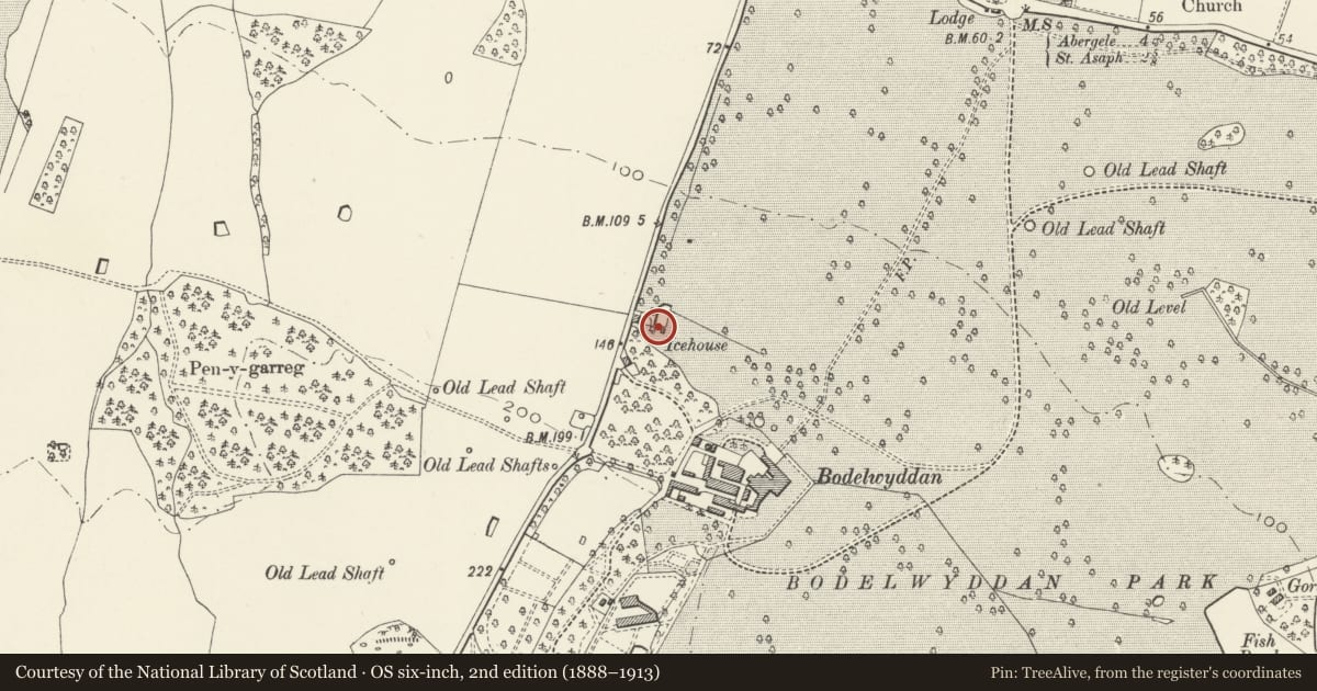 Ordnance Survey six-inch map, 2nd edition (1888–1913) covering the location of Bodelwyddan Castle Ice House, Denbighshire, with a pin at the register's coordinates