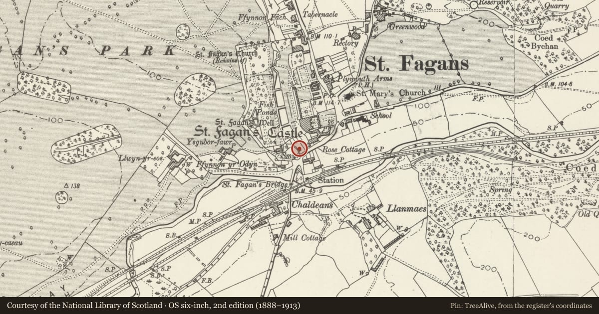Ordnance Survey six-inch map, 2nd edition (1888–1913) covering the location of Silver Stream, St. Fagans, Cardiff, with a pin at the register's coordinates