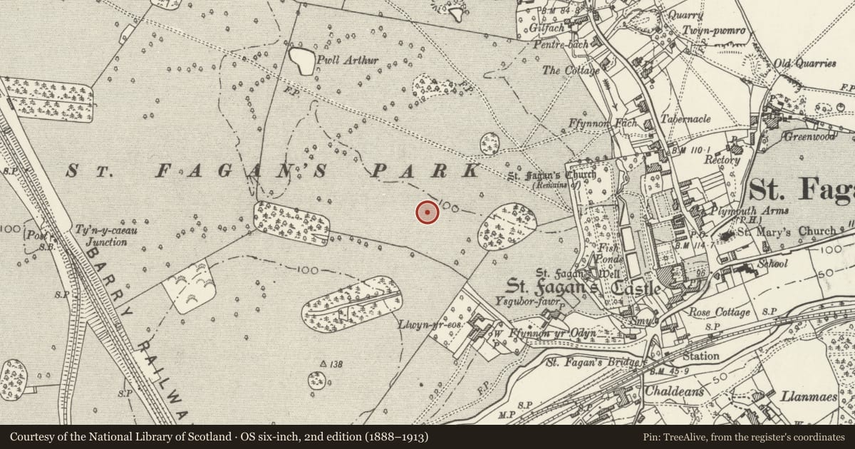 Ordnance Survey six-inch map, 2nd edition (1888–1913) covering the location of Llainfadyn, St. Fagans, Cardiff, with a pin at the register's coordinates