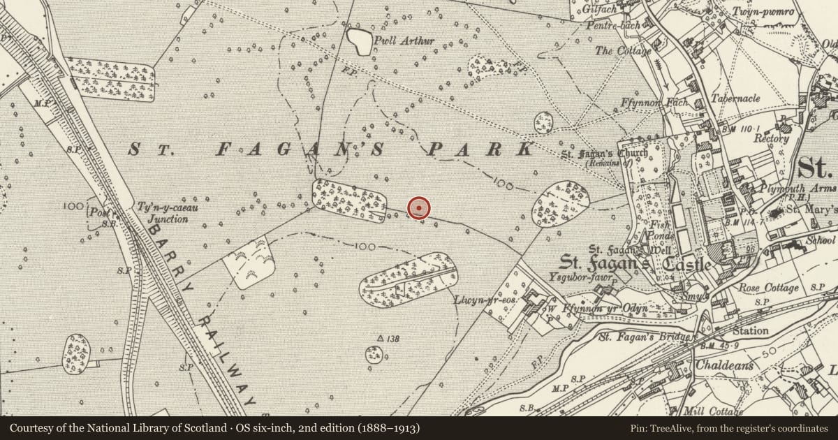 Ordnance Survey six-inch map, 2nd edition (1888–1913) covering the location of Rhaeadr Tannery, St. Fagans, Cardiff, with a pin at the register's coordinates