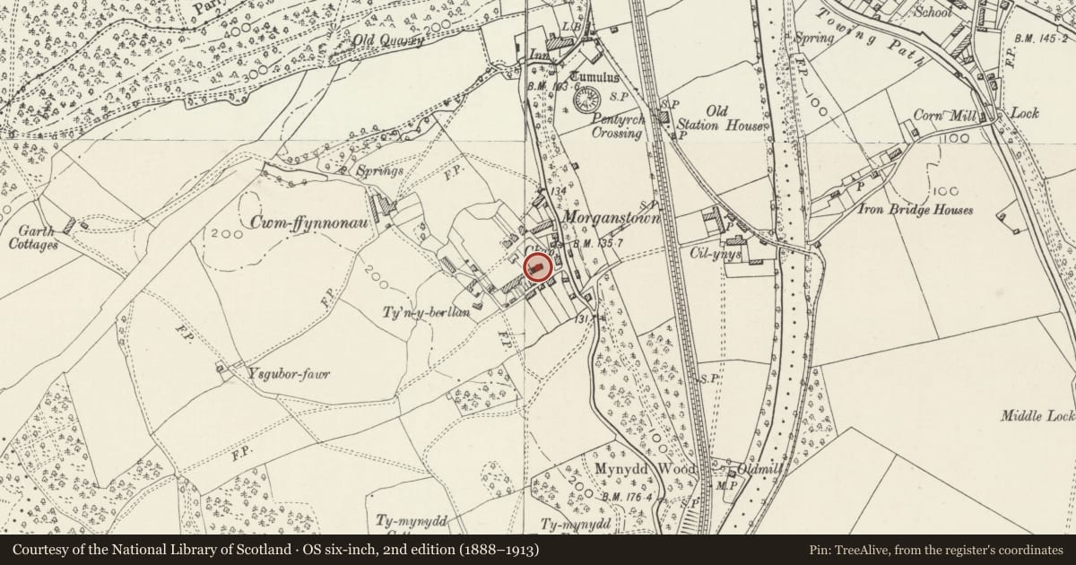 Ordnance Survey six-inch map, 2nd edition (1888–1913) covering the location of Bethel Calvinistic Methodist Chapel, Radyr and Morganstown, Cardiff, with a pin at the register's coordinates