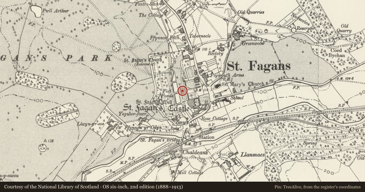 Ordnance Survey six-inch map, 2nd edition (1888–1913) covering the location of Italian Terraces on north-east side of Fishponds in Garden of St Fagans Castle, St. Fagans, Cardiff, with a pin at the register's coordinates