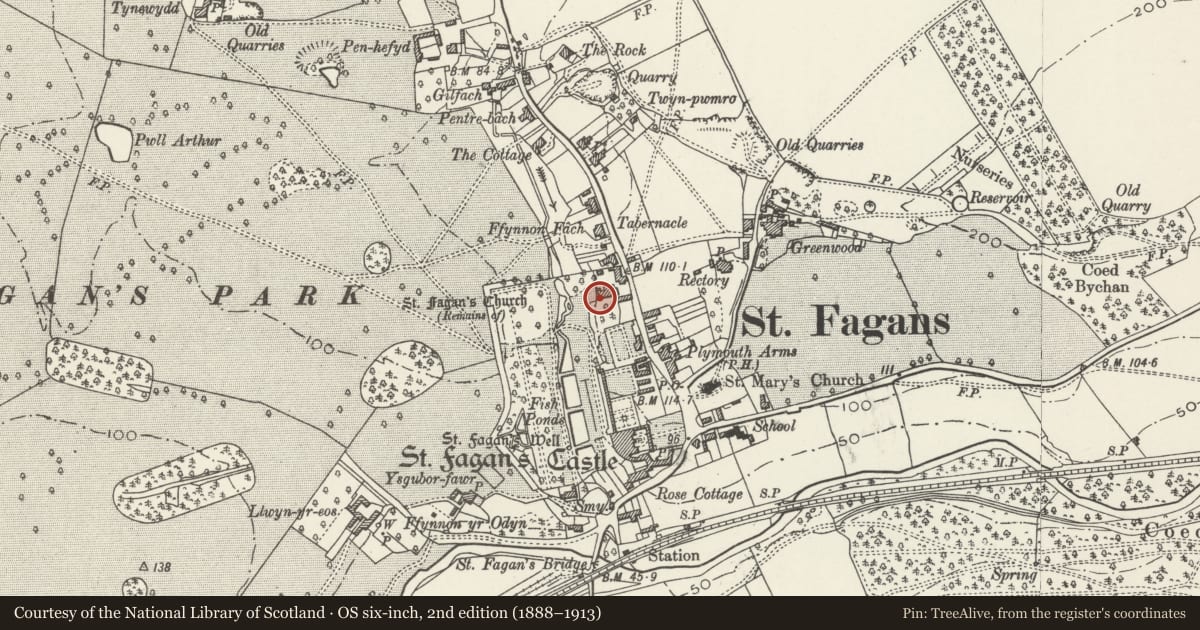 Ordnance Survey six-inch map, 2nd edition (1888–1913) covering the location of East Boundary Wall of the Ilex Grove running north to the lane at Clive Cottages, St. Fagans, Cardiff, with a pin at the register's coordinates