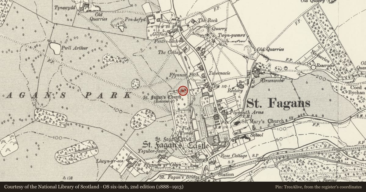 Ordnance Survey six-inch map, 2nd edition (1888–1913) covering the location of Boundary Walls of the Northern Enclosure containing the Esgair Moel Woollen Mill, with the Gazebo, St. Fagans, Cardiff, with a pin at the register's coordinates