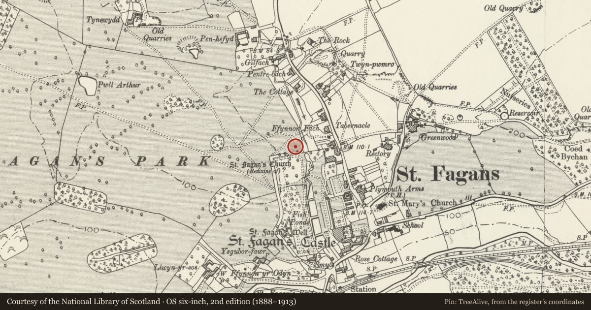 Ordnance Survey six-inch map, 2nd edition (1888–1913) covering the location of Esgair Moel Woollen Factory, St. Fagans, Cardiff, with a pin at the register's coordinates