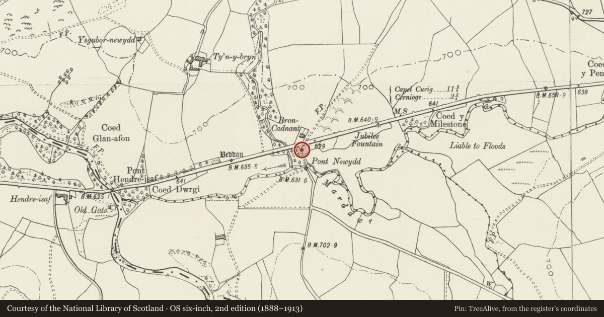 Ordnance Survey six-inch map, 2nd edition (1888–1913) covering the location of Causeway with two bridges at Pont Newydd (partly in Ysbyty Ifan community), Pentrefoelas, Conwy, with a pin at the register's coordinates