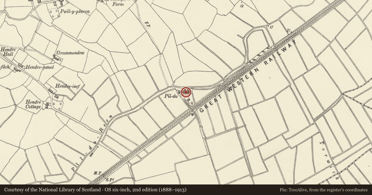 Ordnance Survey six-inch map, 2nd edition (1888–1913) covering the location of Pill du Farm, Trowbridge, Cardiff, with a pin at the register's coordinates