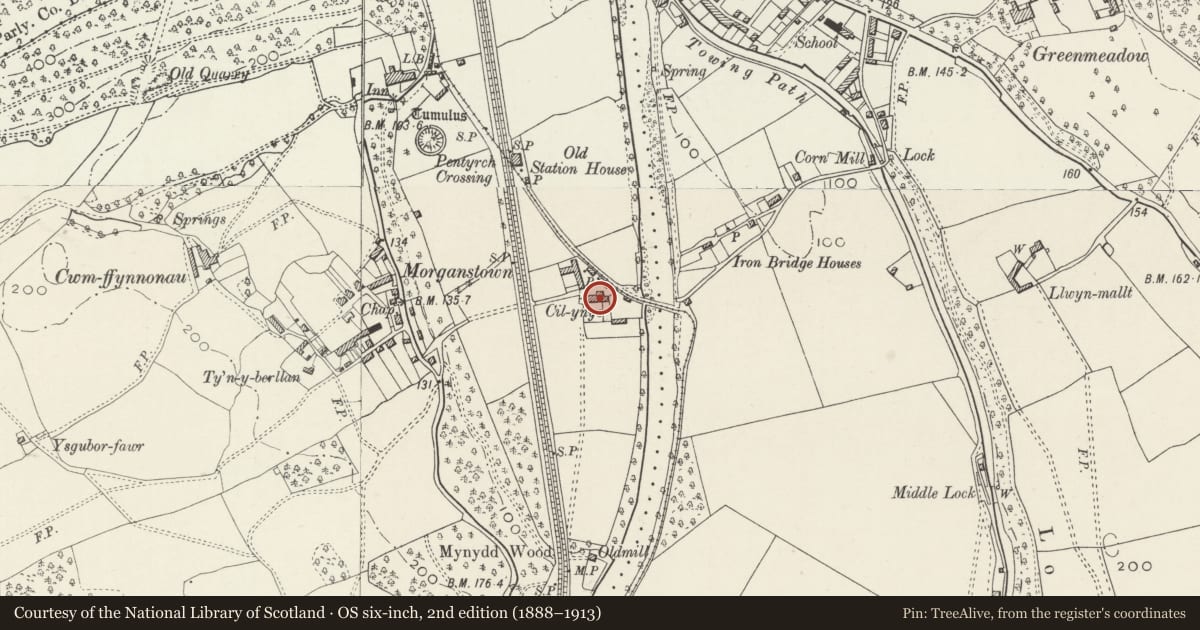 Ordnance Survey six-inch map, 2nd edition (1888–1913) covering the location of Gelynis Farmhouse and attached cottage and stable, Radyr and Morganstown, Cardiff, with a pin at the register's coordinates