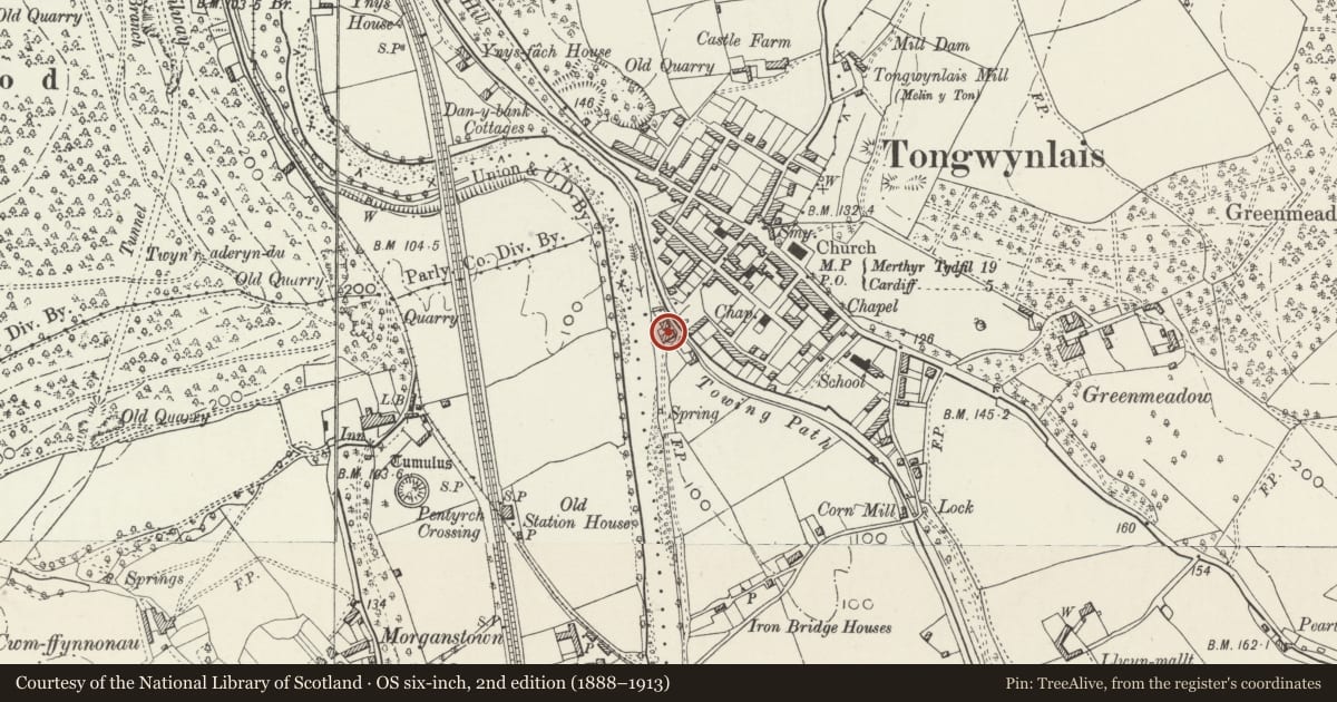 Ordnance Survey six-inch map, 2nd edition (1888–1913) covering the location of Ivy House Farmhouse, Tongwynlais, Cardiff, with a pin at the register's coordinates