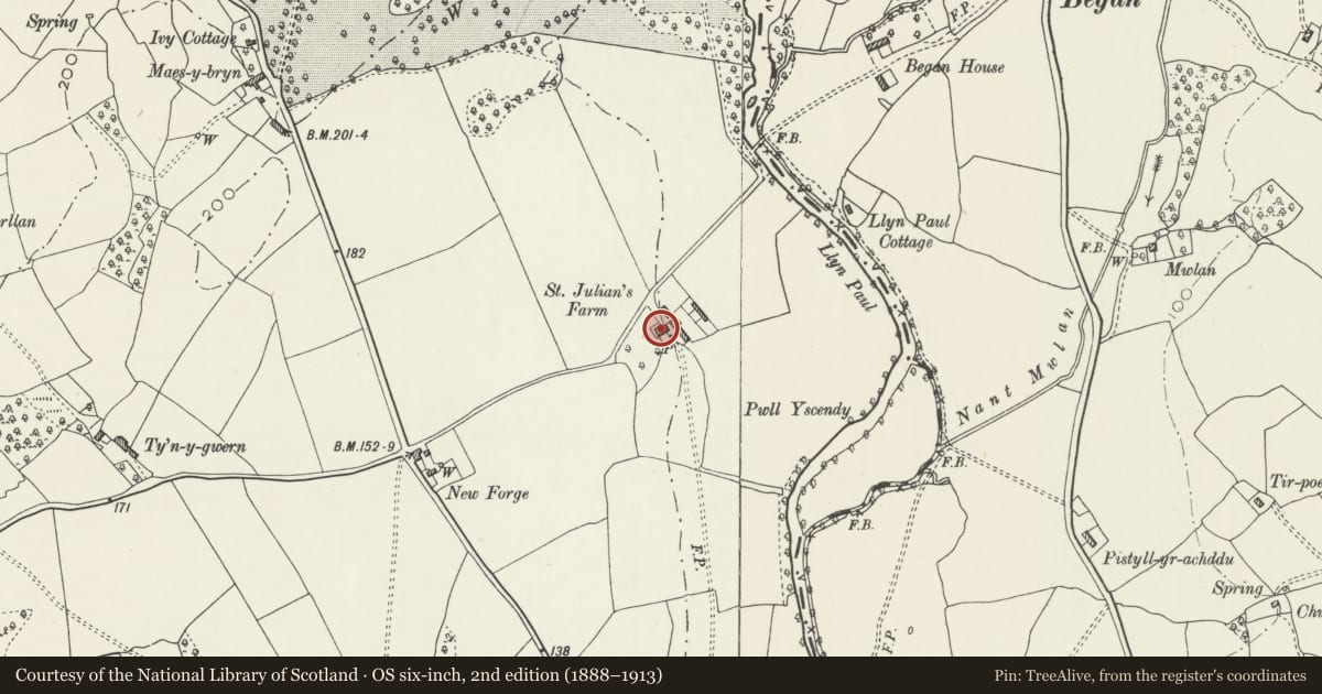 Ordnance Survey six-inch map, 2nd edition (1888–1913) covering the location of St Julian's Manor, Old St. Mellons, Cardiff, with a pin at the register's coordinates