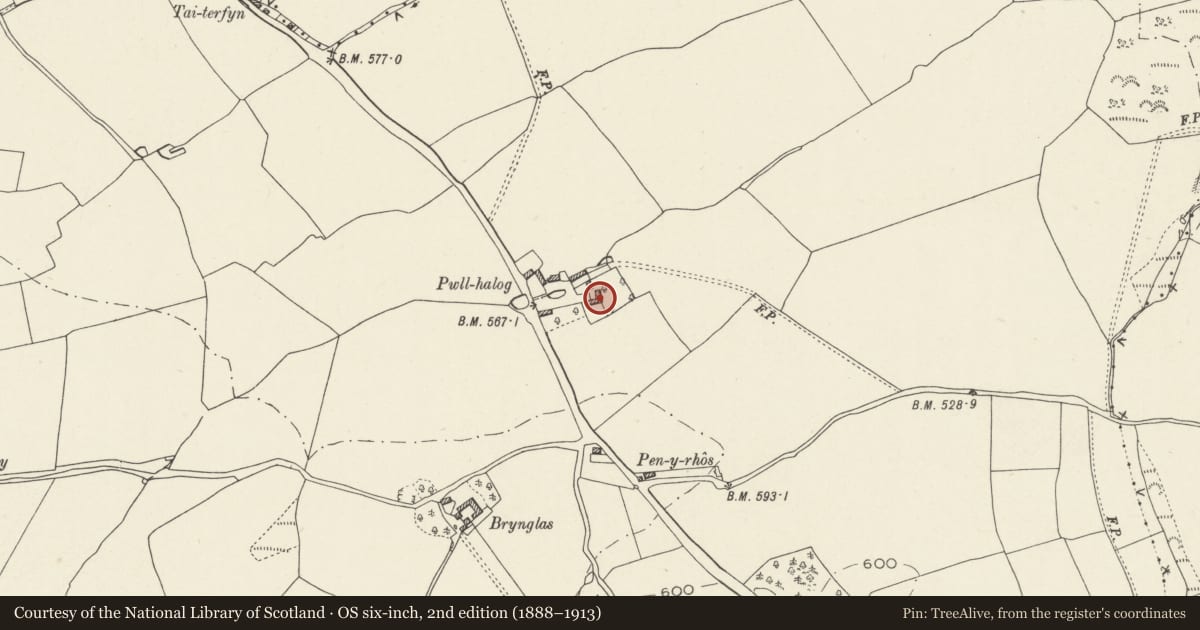 Ordnance Survey six-inch map, 2nd edition (1888–1913) covering the location of Pwllhalog farmhouse, Cwm, Denbighshire, with a pin at the register's coordinates